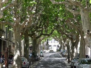 promenade des fossés 8grande