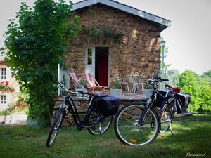 Les vélos à assistance électrique