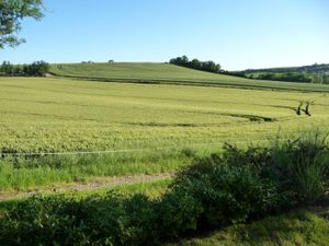 L'Oustal - Les Amourens G448 - Castelnau de Lévis