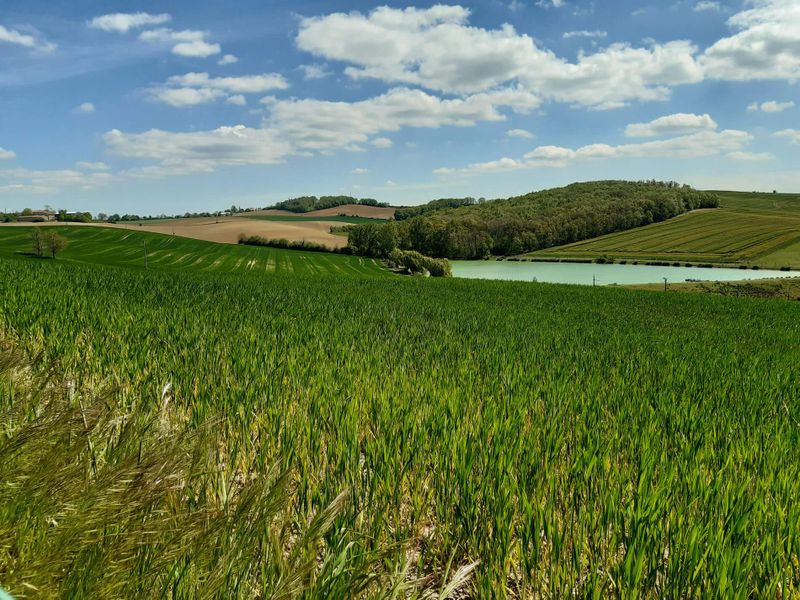 Les Acacias d'En Cassé - Gîtes de France Tarn