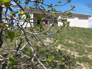 Les Acacias d'En Cassé - Gîtes de France Tarn