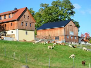 Ferienhaus und Scheune