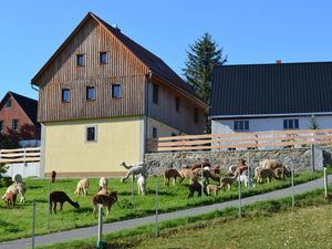 Ferienhaus mit Hofmauer