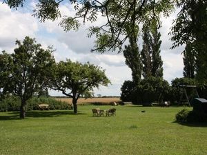 Garten. großer Garten