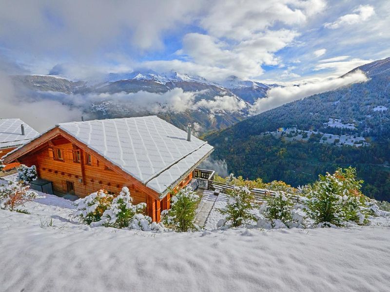 Chalet Roche des 4 Vallées 