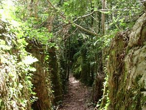 Ein schöner Spaziergang in direkter Umgebung: Das Labyrinth