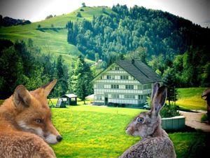 verschlafen wo sich Fuchs und Hase "Gute Nacht" sagen.