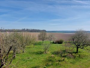 Obstgarten