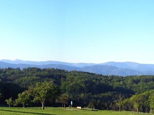 Blick von Tinyhausterrasse auf Schwarzwald