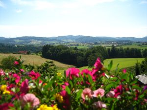 Aussicht vom Garten