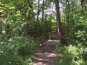 Rundweg um den Holzwiesenteich (ca. 600m)