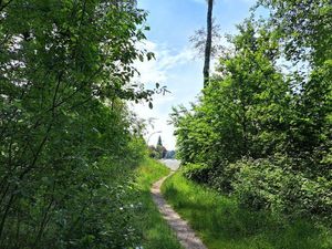 Waldweg