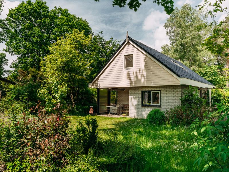 Außenseite Ferienhaus [Sommer]