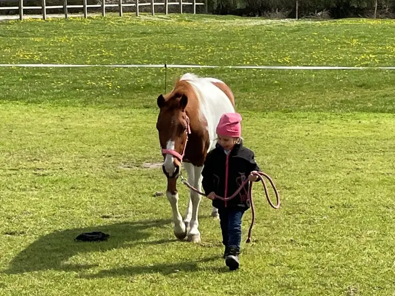 Reiterhof Lausen in Stangheck Ponykoppel