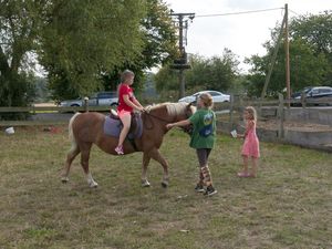 Reiten