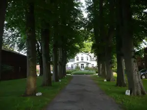 Die Lindenallee - Zufahrt zum Spatzenhof Die Lindenallee - Zufahrt zum Spatzenhof