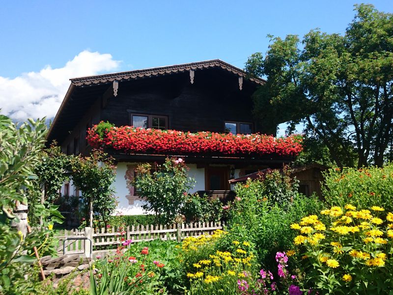 Außenseite Ferienhaus [Sommer]