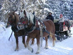 landhaus-strickenmacher-strassen-osttirol-buchen