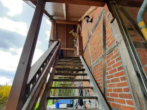 Treppe zum Waldblick