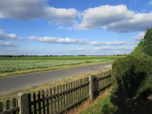 Ausblick Ausblick