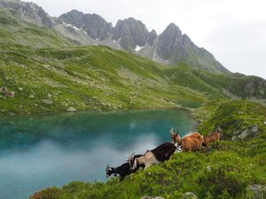 Maiensäss Glivers - Lag Serein