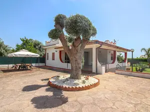 house house