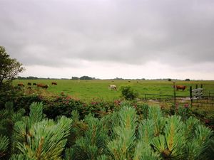 Weitblick über die Felder