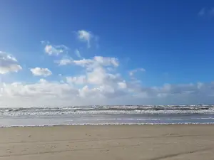 Unsere schöne Wiese