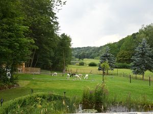 Terrassenausblick