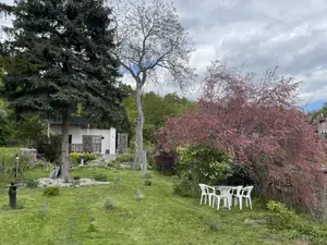 großzügiger Garten für die Gäste großzügiger Garten für die Gäste