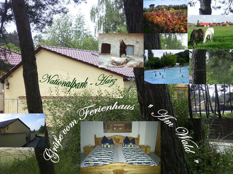 Ferienhaus "Am Wald"