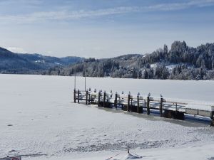 Winter am Titisee