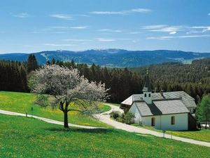 Blick Richtung Feldberg (1493m)