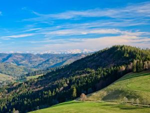 Ein Spaziergang zum Köpfle wird mit Alpensicht belohnt