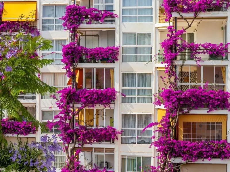 ExteriorSummer
