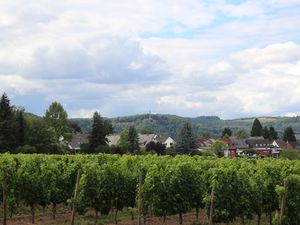 Blick über die Weinberge