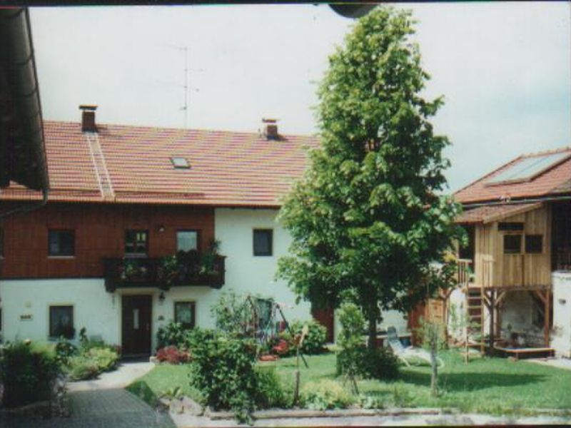 Ferienhof Bimesmeier - Innenhofansicht mit Baumhaus