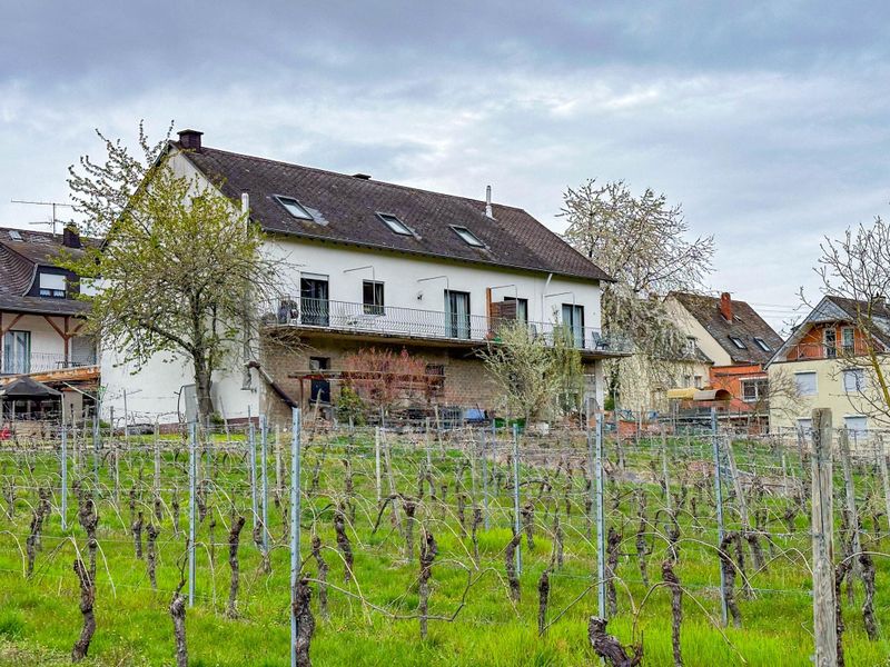 Außenseite Ferienhaus [Sommer]