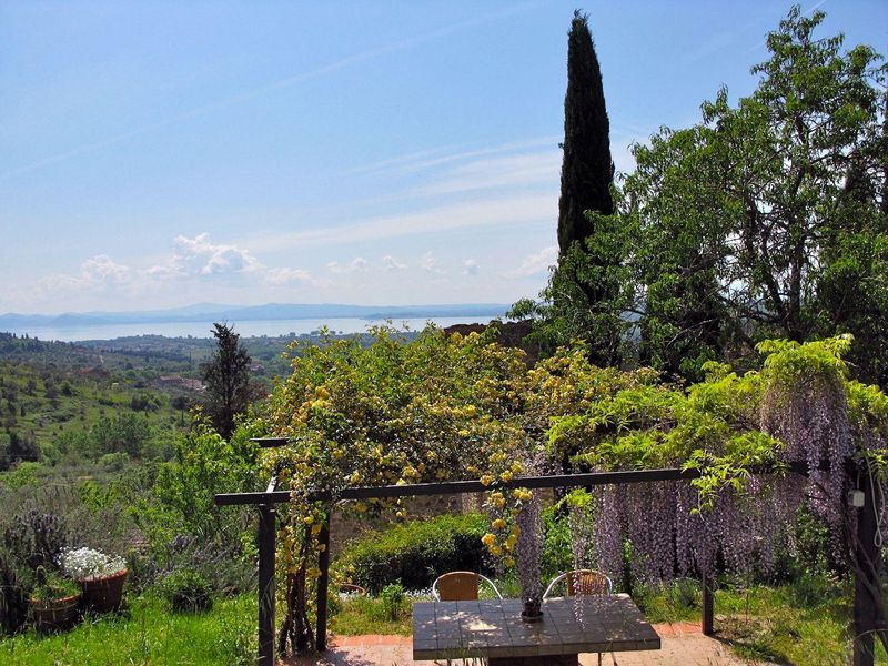 Garten. Die Pergola mit Blick auf den See