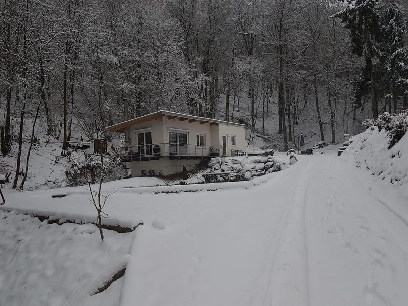 Waldhaus im Winter