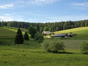 Lippenhof in Unterkirnach