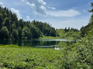 Taubensee