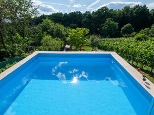 Schöner Waldblick vom Pool aus