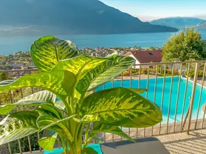 Poolblick Poolblick