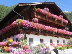 Tolahof im Sommer