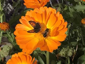 Gästehaus Schlossnerhof*** Ferienwohnungen Gästehaus Schlossnerhof*** Ferienwohnungen