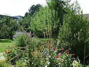 garten-21.jpg