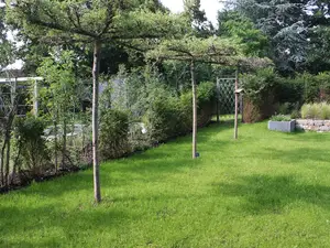 Cube House - Ferienhaus in Franken, privater Außenbereich