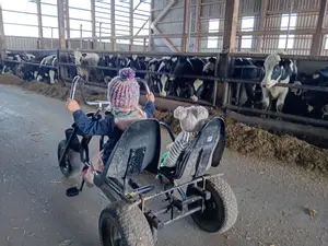 Hofrundfahrt