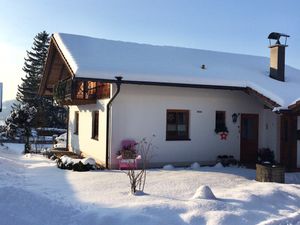 Seehäuschen Waging im Winter